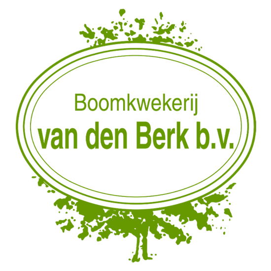 Boomkwekerij Van den Berk echte groenwitter